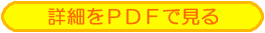 詳細をPDFで見る